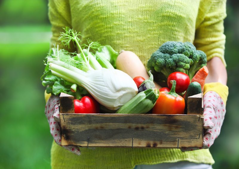 какие овощи способствуют похудению